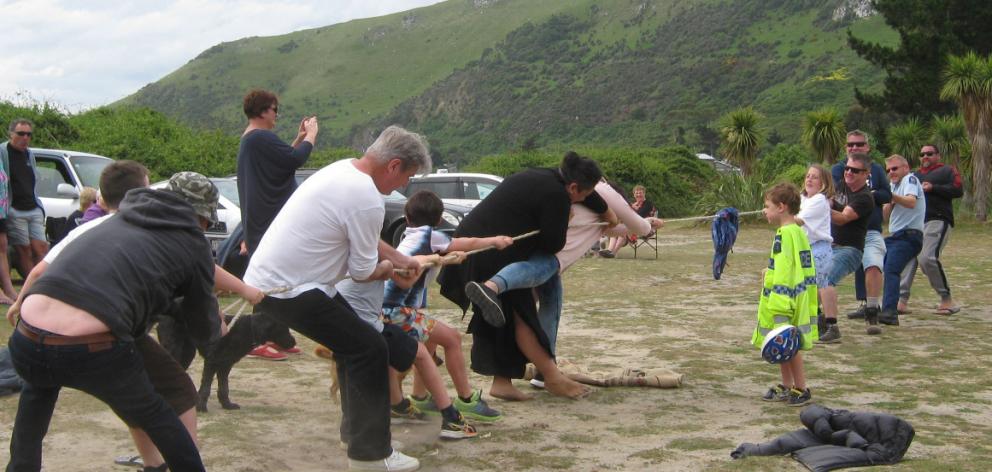 Members of the Otago Peninsula community joined forces with visitors for a tug of war, during a...