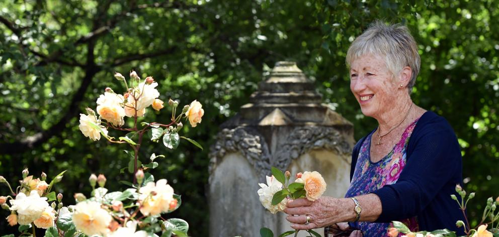 Looking forward to celebrating the replanting of more than 400 roses at the Dunedin North Cemetery is Heritage Roses Otago convener Fran Rawling. Photo: Peter McIntosh