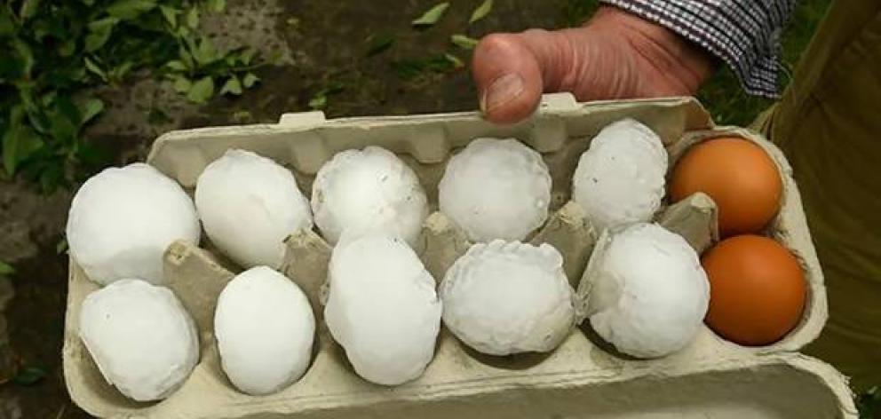 An egg tray shows the scale of some of the hailstones. Photo: Luke McGoldrick via NZ Herald 