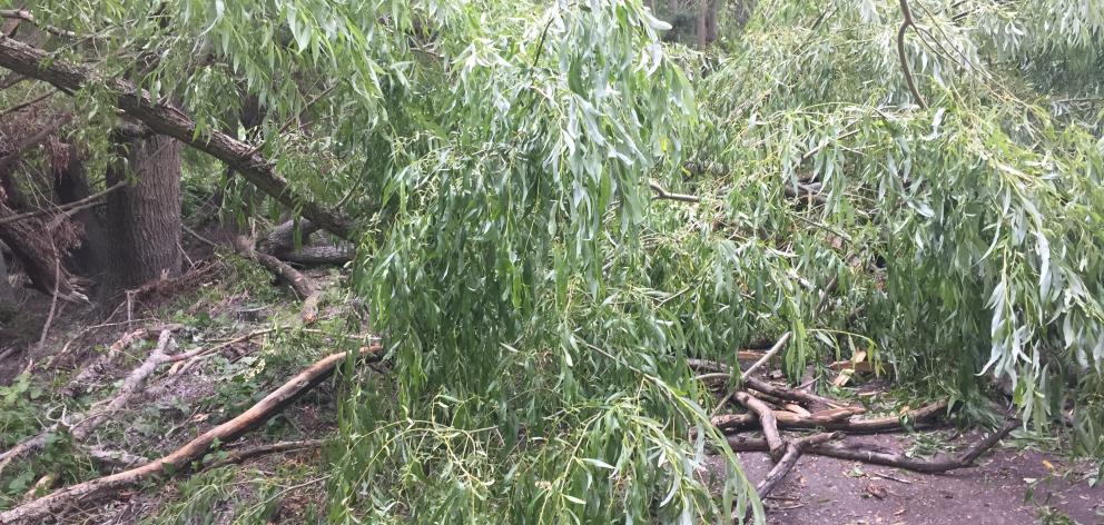 The Alexandra-Clyde river track was closed again yesterday, blocked by debris from fallen trees and branches from recent high winds. Photo: Supplied