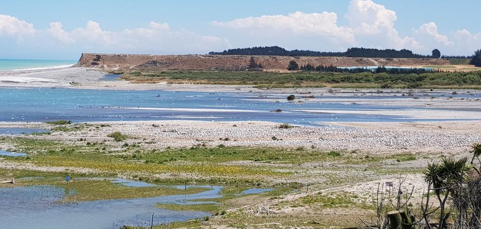 The management of the Ashburton River Mouth is a balancing act between recreational users and its...