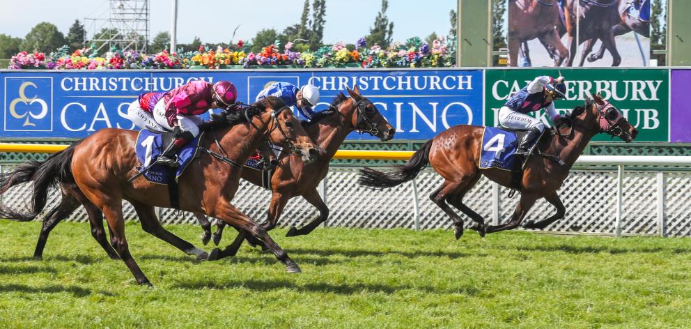 Leah Hemi celebrates as she guides Dee And Gee to victory over Kaharau and Gorbachev in the  New...