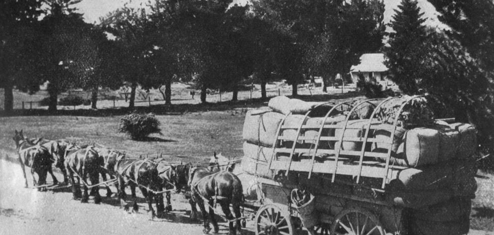 A large load of wool from Glen Dhu station, passing through Pembroke, Lake Wanaka, on the way to...