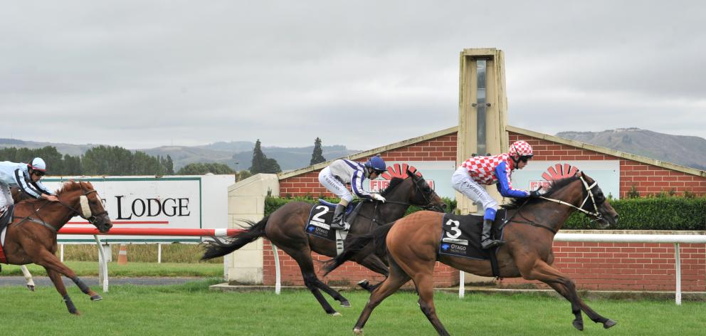 Zabay, with stable apprentice Corey Campbell aboard, beats Showpin (kylie Williams) to win the...