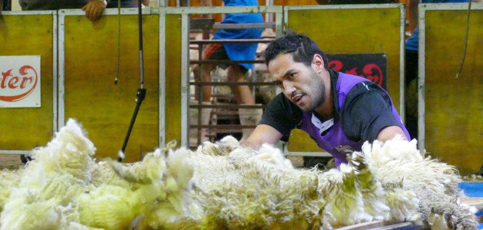 Joel Henare, of Gisborne, watches his fleece carefully on his way to an 11th New Zealand open...