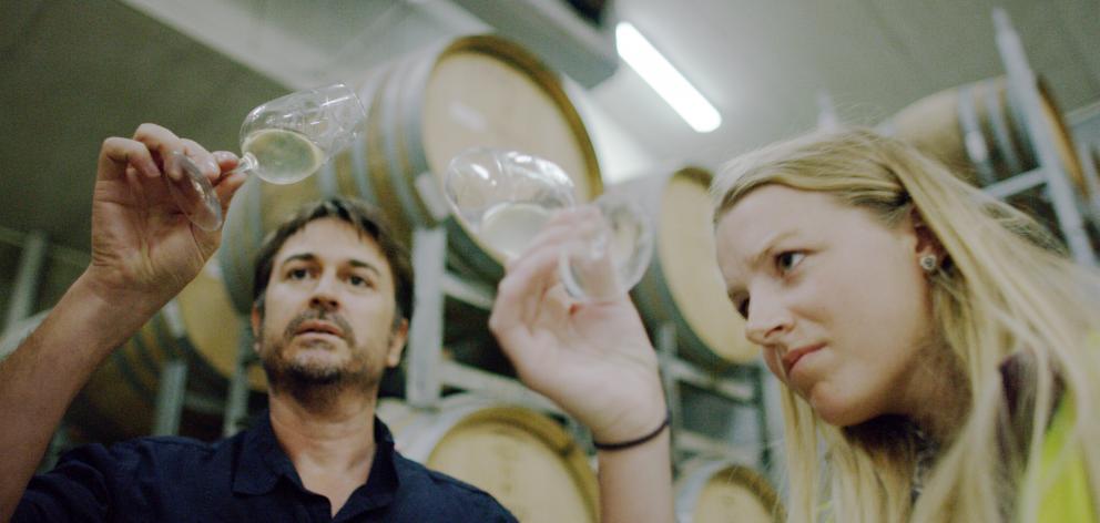 Villa Maria group chief winemaker Nick Picone and Jess Marston assess a barrel sample.