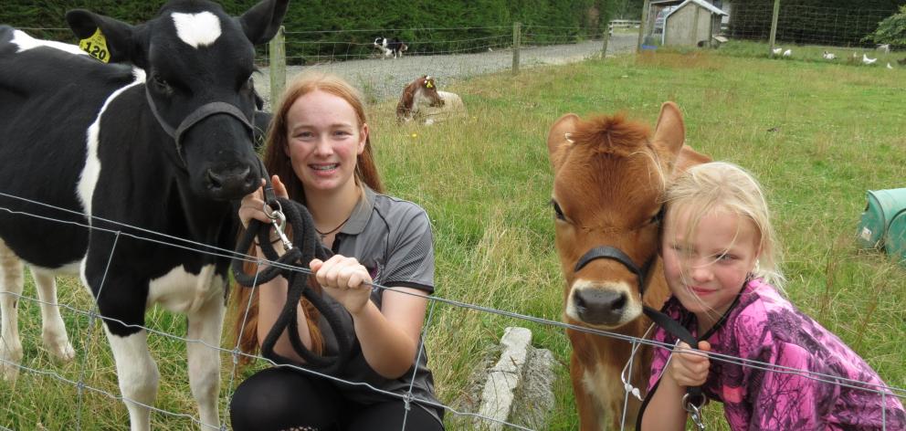 Lina (16), with Milka, and Annika Buhre (7), with Astra, of Scotts Gap, are passionate about theircattle. Both want a career as vets. Photo: Yvonne O'Hara
