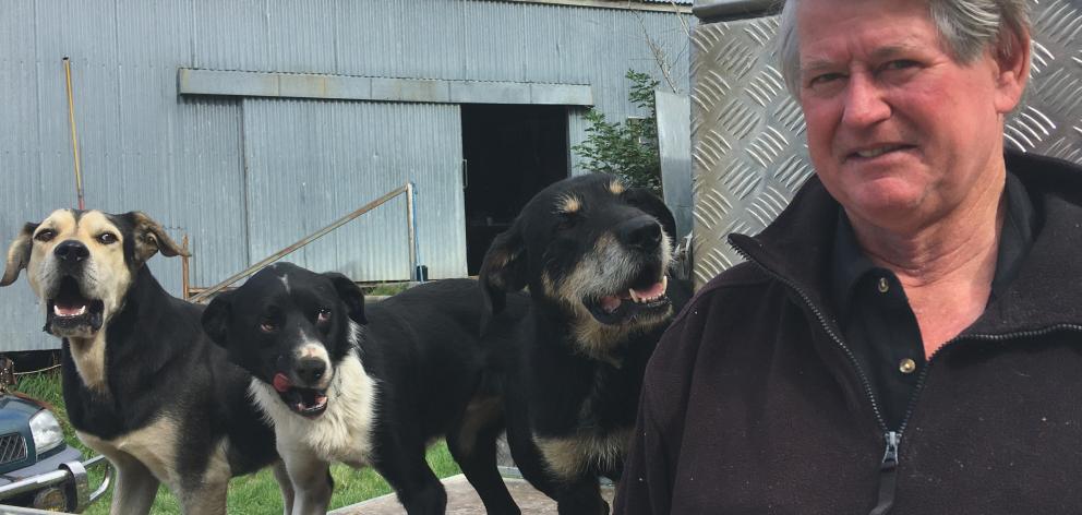 Mayfield Collie Club member Ray Kane with his trusty canines (from left) Rusty, Glen and Gus. Photo: Toni Williams