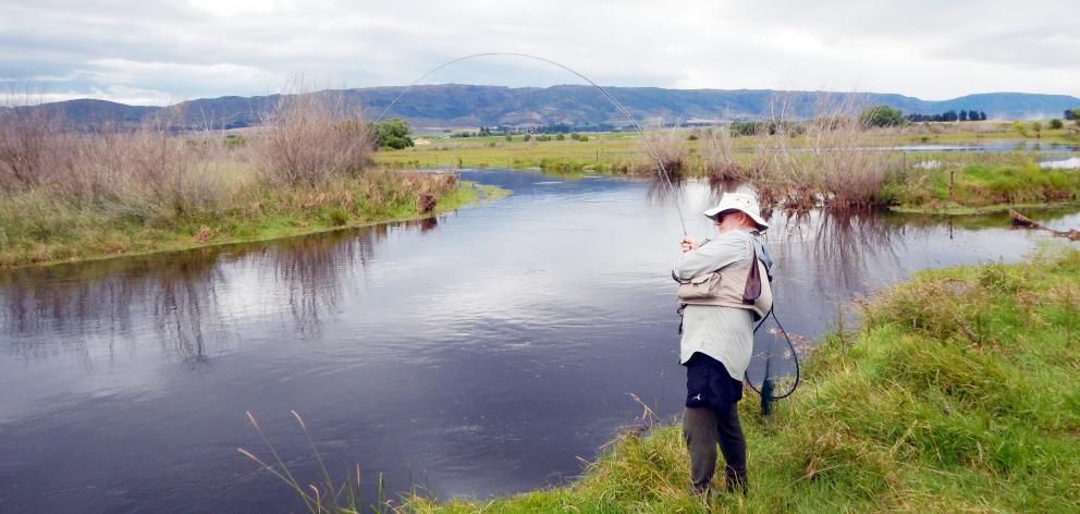 Murray Smart playing a good fish at the mouth of an upper Taieri backwater. Photo: Mike Weddell 