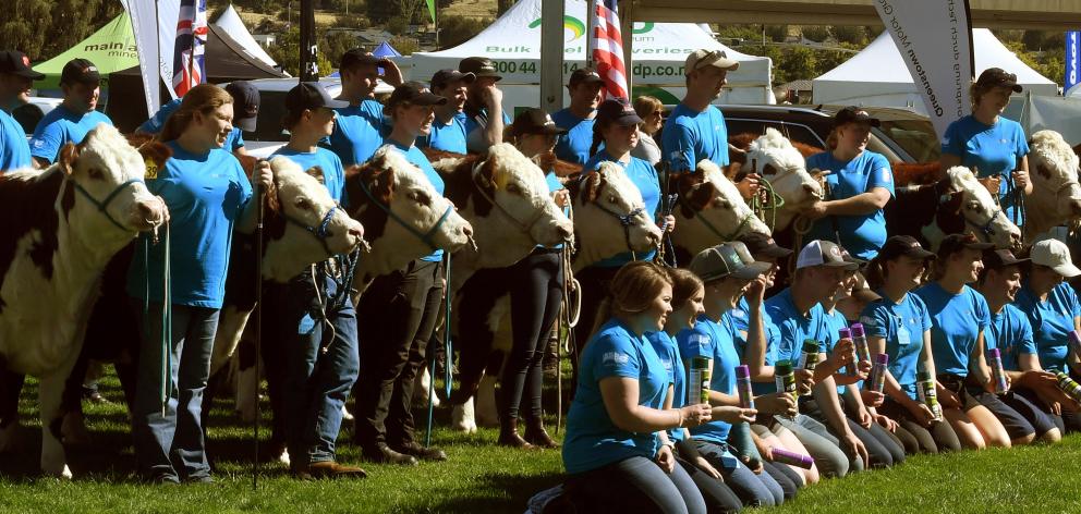 Young Hereford enthusiasts have come from around the world for the Young Breeders Competition,...