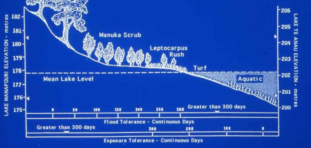 Lakes Manapouri and Te Anau shoreline vegetation tolerances to flood duration and exposure, based...