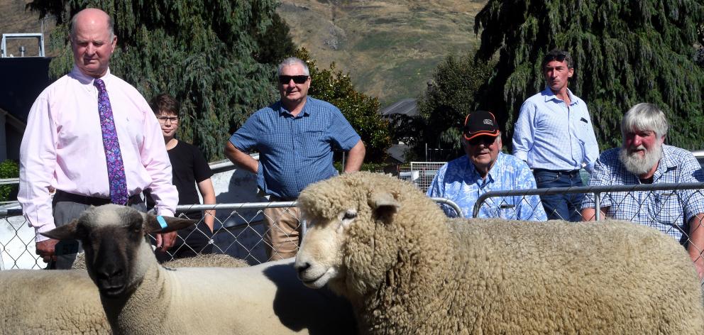 World Federation of Merino Breeders president Will Roberts, of Queensland, judges an all-breeds...