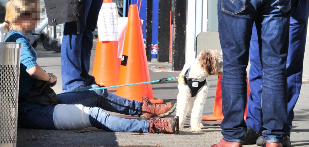 A women rests her bandaged leg outside a North Dunedin pharmacy with her dog after being attacked...