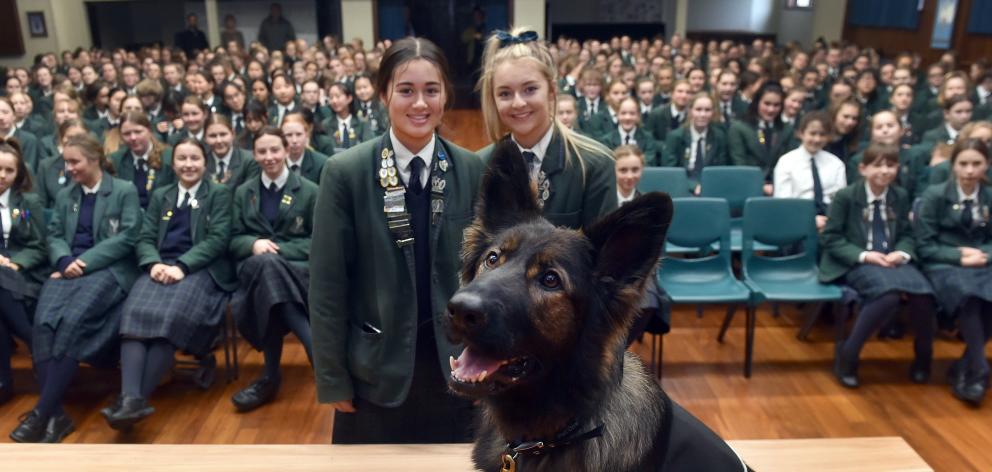 Columba College pupils Maia Joseph (left) and Jess Cowie (both 18), with K9 Medical Detection dog...