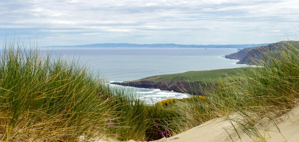 Sandfly Bay. 