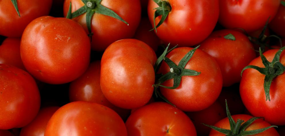 Tomatoes. Photo: Reuters