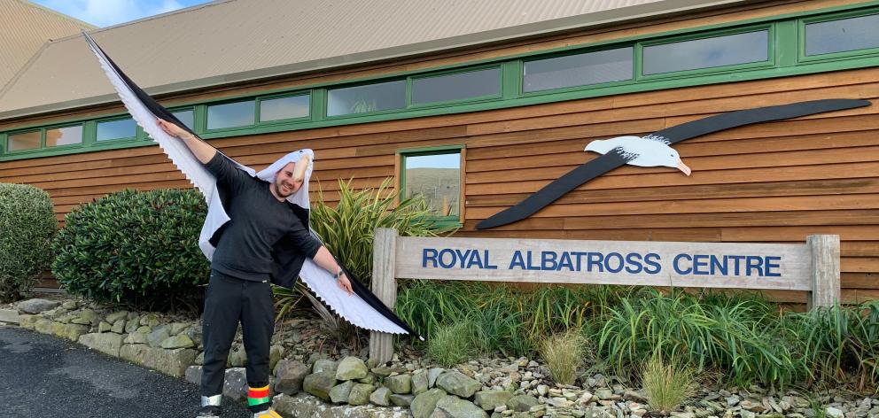 Royal Albatross Centre operations manager Chris McCormack wears an albatross suit as World...