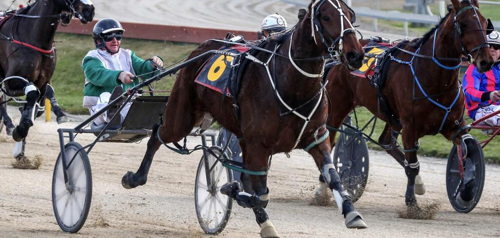 Robbie Holmes drives Allandale to win for trainer Lionel Sinnamon at Addington on Sunday. PHOTO:...