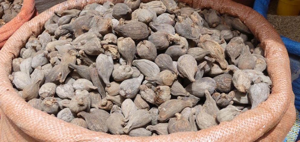 Dried korarima, Ethiopian or false cardamom, a relative of ginger, for sale in the market. It...