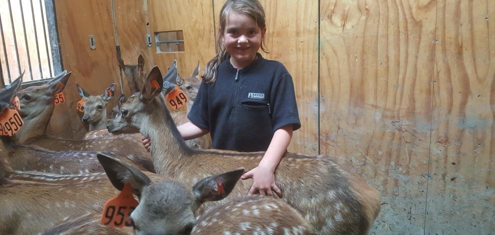 Alex (5), and Mia (9) Brock, of Merino Downs, are keen to help with some of the family’s deer....