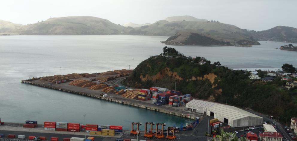 Port Otago will start a six-month major earthworks project at Flagstaff Hill, Port Chalmers, on Monday. Photo: Brenda Harwood