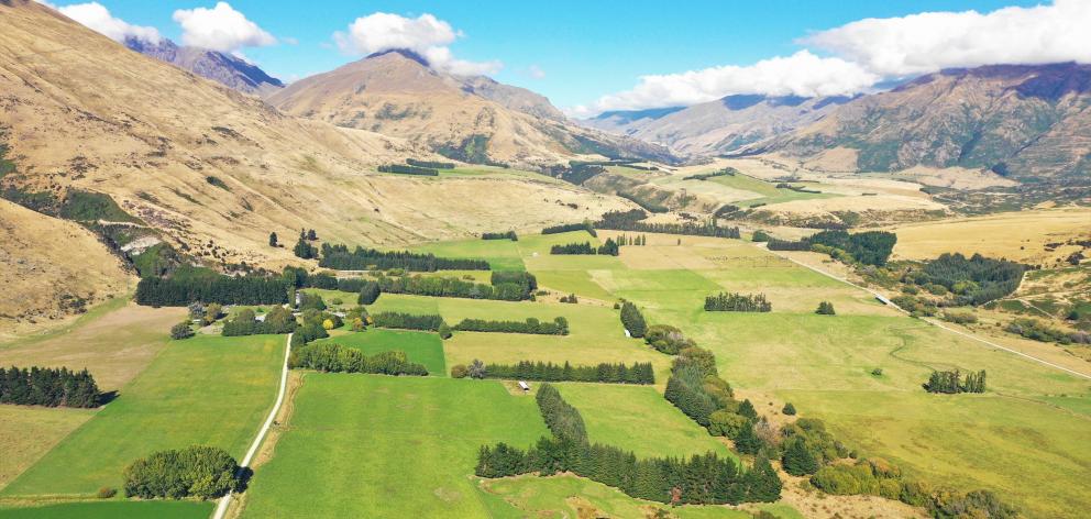 Alpha Burn high country beef, lamb and venison farm, West Wanaka. Photo: Chris Arbuckle