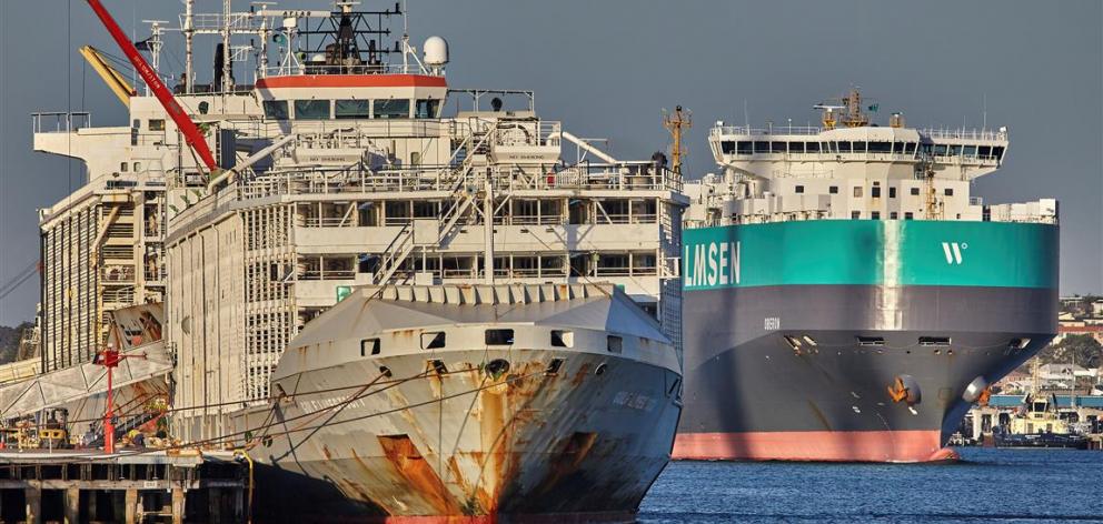 The Gulf Livestock 1 is seen at Fremantle Harbour in Western Australia last year. Photo: Brian W...