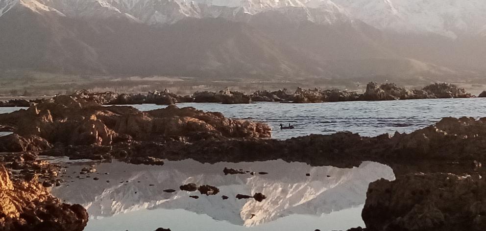 The Kaikoura Ranges are reflected  in a pool of water near the seal colony.  PHOTOS: SUE NOBLE-ADAMS