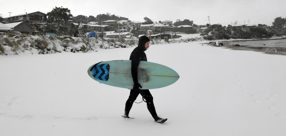 Kaka Point resident Hayden Campbell has the beach and waves to himself as he heads out for a surf...