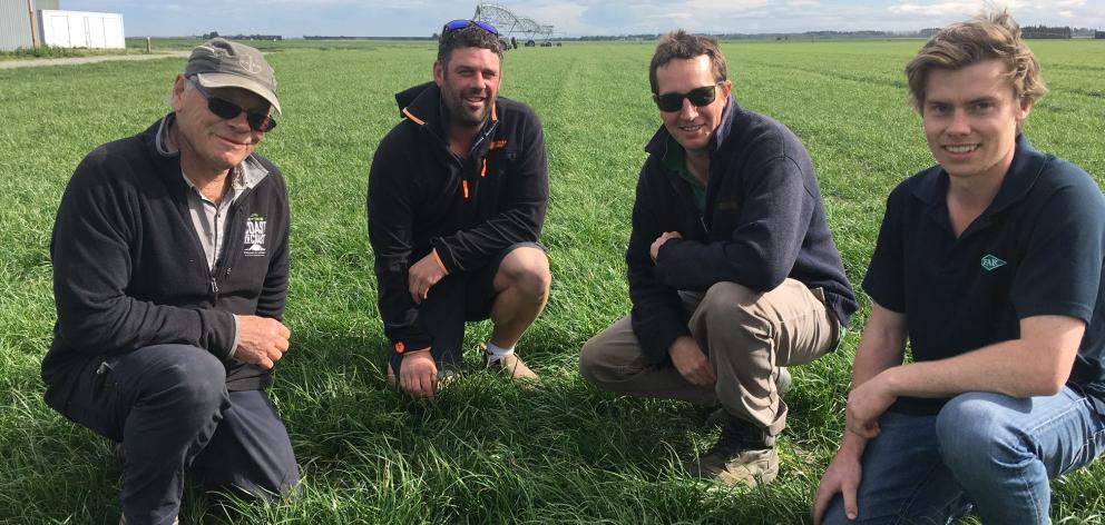 Arable farmer Eric Watson checks out ryegrass growth with Arable Y members Grant Maw and Scott...