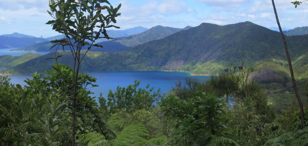 Magnificent views across Queen Charlotte Sound.