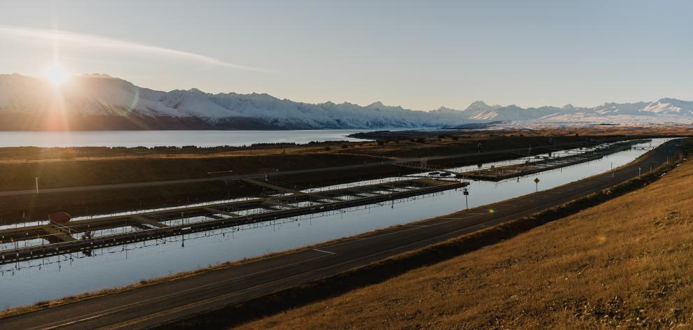 Salmon farm on a Tekapo canal. 