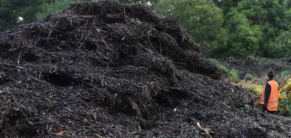 Dunedin Botanic Garden now makes its own compost, which has proved perfect for bulking up beds in...