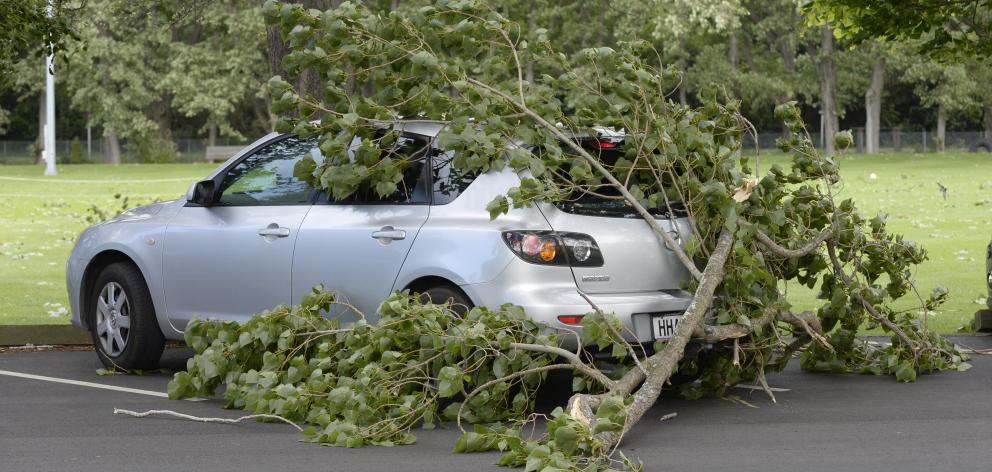 A large tree limb fell in high winds and broke the rear window of a parked car, in Logan Park Dr,...