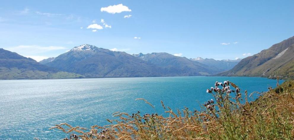Fishermen first reported algae in Lake Wanaka in the early 2000s. 