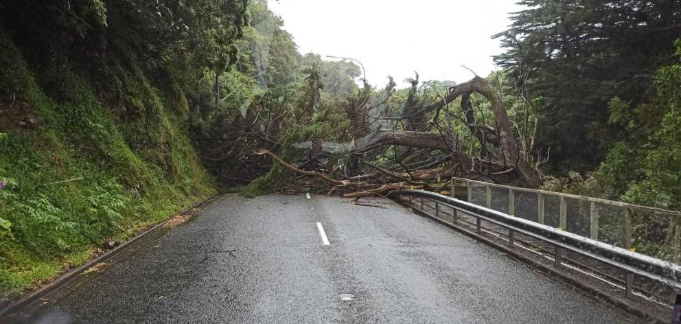 Crews were called to the scene at Middleton Rd. Photo / Supplied