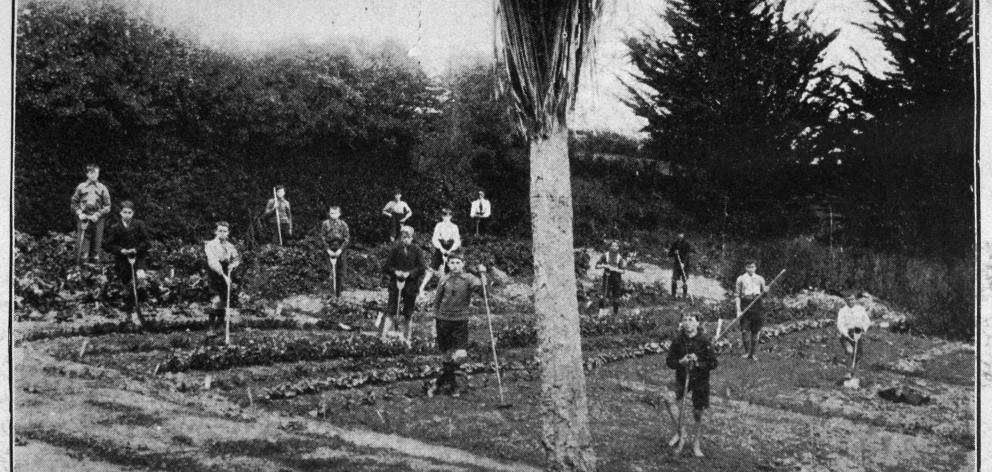 The public school garden at Hampden, with the pupils at work. — Otago Witness, 
...