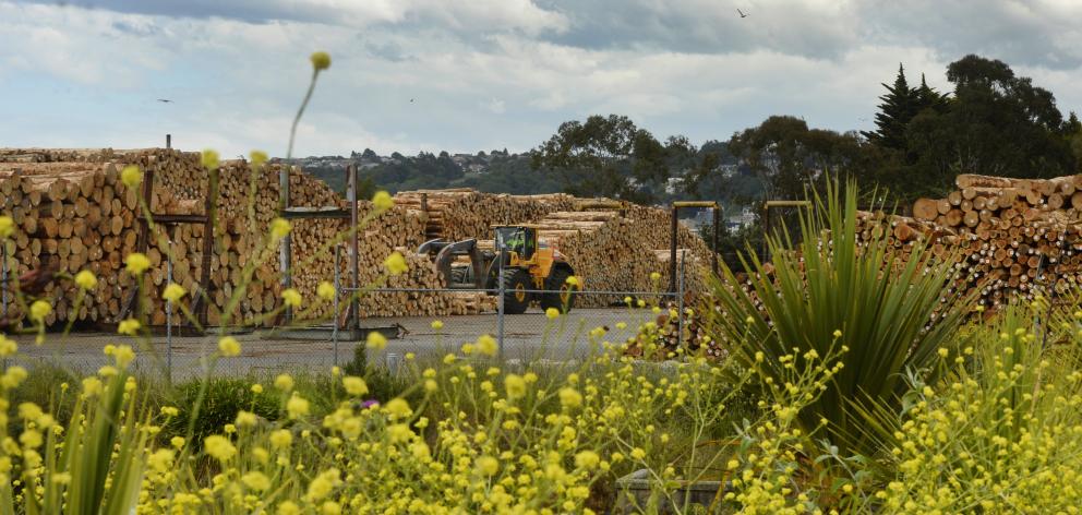 A log loader works at the log storage facility in Dunedin on Monday afternoon. PHOTO: GREGOR...