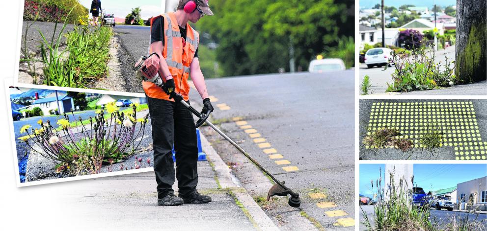 A contractor works the weed-eater in Highgate in Dunedin. Plenty more work awaits. PHOTOS:...