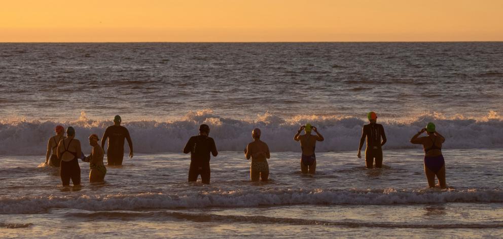 A group of swimmers go for an evening swim in the Pacific Ocean. REUTERS