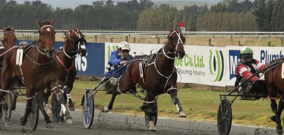 Pembrook Playboy burst through a gap to win the Central Otago Cup for Nathan Williamson. PHOTO:...