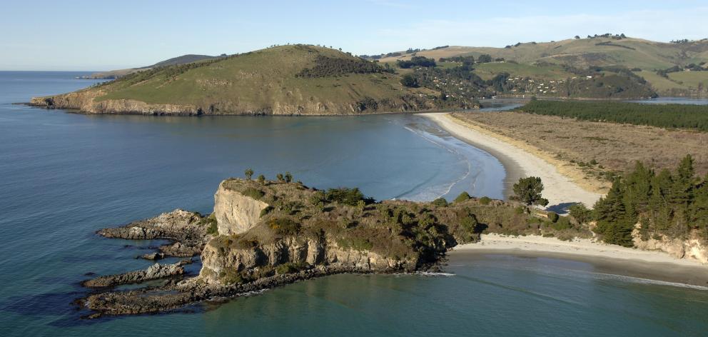 Mapoutahi, the former site of a Maori pa, juts out from Purakaunui Bay and leads to the...