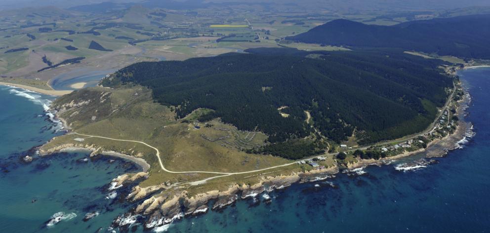 Shag Point. Photo: Gerard O'Brien