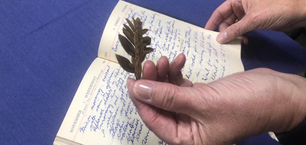 A leaf from ‘‘the loneliest tree in the world’’ found in Robert Stanley’s diary of his time on Campbell Island. PHOTO:KERRIE WATERWORTH A leaf from ‘‘the loneliest tree in the world’’ found in Robert Stanley’s diary of his time on Campbell Island. PHOTO:KERRIE WATERWORTH