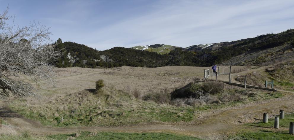 The woman is missing in Gabriels Gully near Lawrence. Photo: ODT files