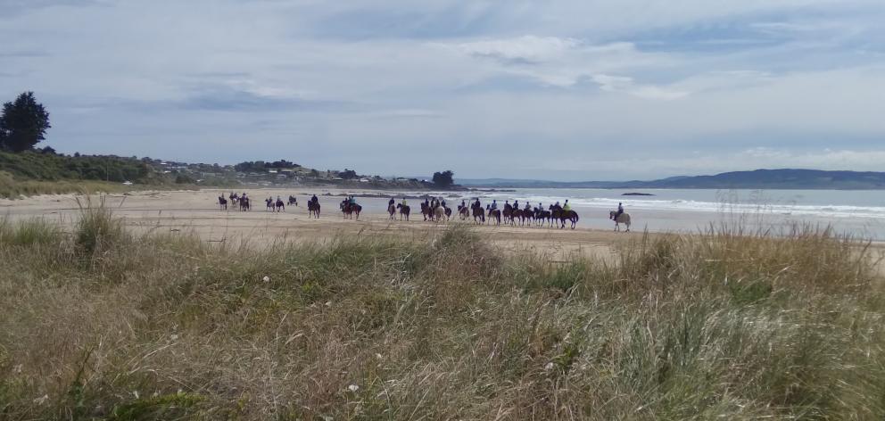 Long-time rider Marty Miller and Mist oil their joints on a ride along the beach.