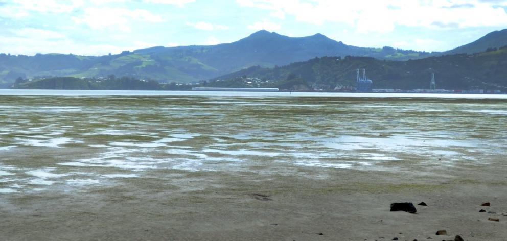 The mudflats of Harwood. Photo: ODT files 