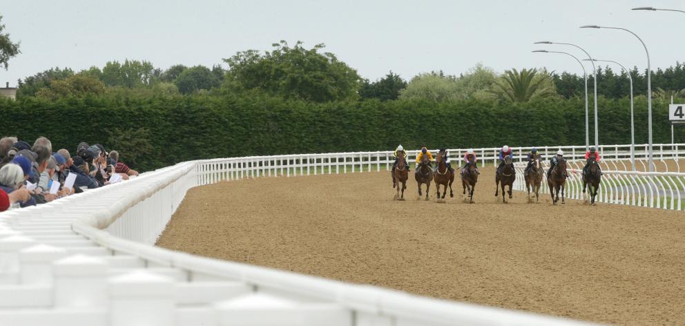 The Cambridge Jockey Club is preparing to hold its first race meeting on its new synthetic track....