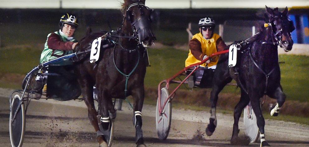 Shes So Right (right) wins the opening race from Myshout at Forbury Park last night. Photo: Peter...