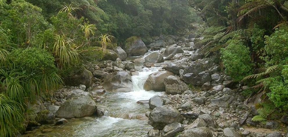 heaphy_track_stream_jpg_52140e36bc.jpg